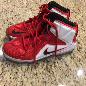 NIKE /Lebron James Basketball shoes /Youth/size 3